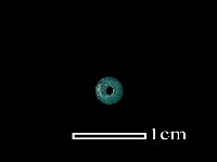 琉璃珠藏品圖，第1張