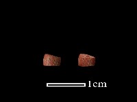 琉璃珠藏品圖，第2張