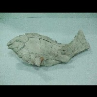 剪粘(魚)藏品圖，第2張