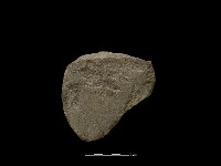 磨製斧鋤形器藏品圖，第1張