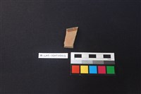 陶片藏品圖，第2張