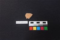 陶片藏品圖，第1張