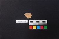 陶片藏品圖，第2張