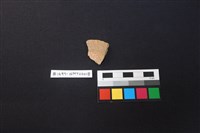 陶片藏品圖，第1張