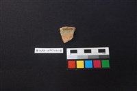 陶片藏品圖，第2張