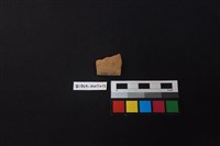 陶片藏品圖，第2張