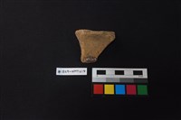 陶片藏品圖，第2張