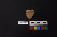 陶片藏品圖，第1張