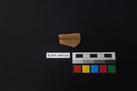 陶片藏品圖，第1張