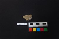 陶片藏品圖，第2張