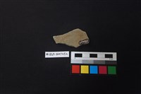 陶片藏品圖，第2張