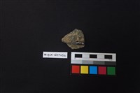 陶片藏品圖，第2張