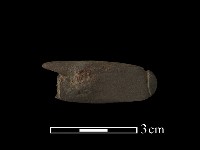 網墜藏品圖，第2張