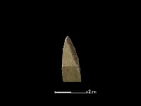 錛鑿形器藏品圖，第2張