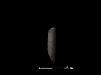 錛鑿形器藏品圖，第3張