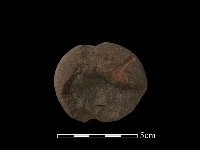 網墜藏品圖，第2張