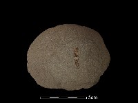 石片器藏品圖，第1張