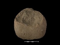 石核藏品圖，第1張