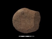 石核藏品圖，第2張