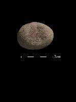 石鎚藏品圖，第2張