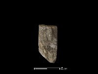 錛鑿形器藏品圖，第2張