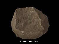 石核藏品圖，第2張