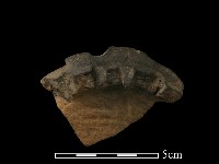 陶罐藏品圖，第2張