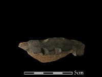 陶罐藏品圖，第3張