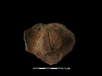 陶蓋鈕藏品圖，第3張