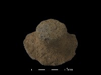 陶蓋鈕藏品圖，第2張