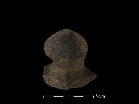 陶蓋鈕藏品圖，第3張