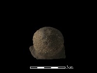 陶蓋鈕藏品圖，第4張