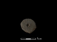 陶蓋鈕藏品圖，第1張