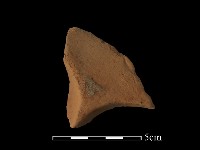 連杯形器藏品圖，第3張