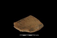 陶片藏品圖，第4張