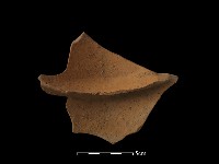 陶片藏品圖，第2張