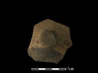 陶蓋藏品圖，第4張