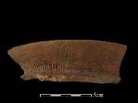 陶罐藏品圖，第2張