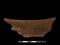 陶罐藏品圖，第3張