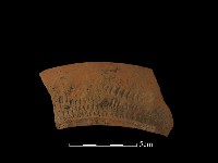 陶罐藏品圖，第1張