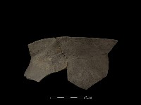 陶罐藏品圖，第2張