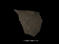 陶罐藏品圖，第2張