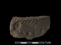 陶片藏品圖，第1張