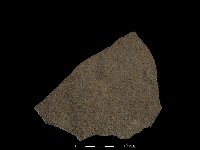 陶片藏品圖，第1張