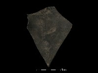 陶片藏品圖，第2張