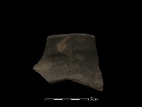 陶片藏品圖，第2張