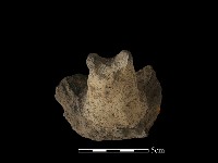 陶蓋鈕藏品圖，第3張