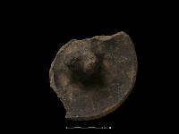 陶蓋鈕藏品圖，第2張