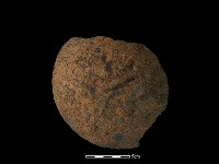 陶蓋鈕藏品圖，第1張