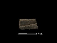 陶環藏品圖，第2張